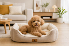 The Dog Dad Note: Clean Pets, Warmer Homes