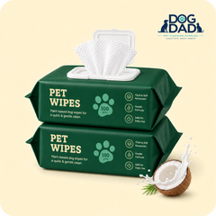 Dog Dad no-rinse pet wipes for paws, coat and small messes