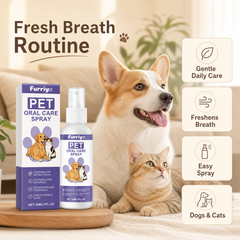 Dog Paw Balm & Nose Moisturizer - Pet Care for Dry Cracked Paws